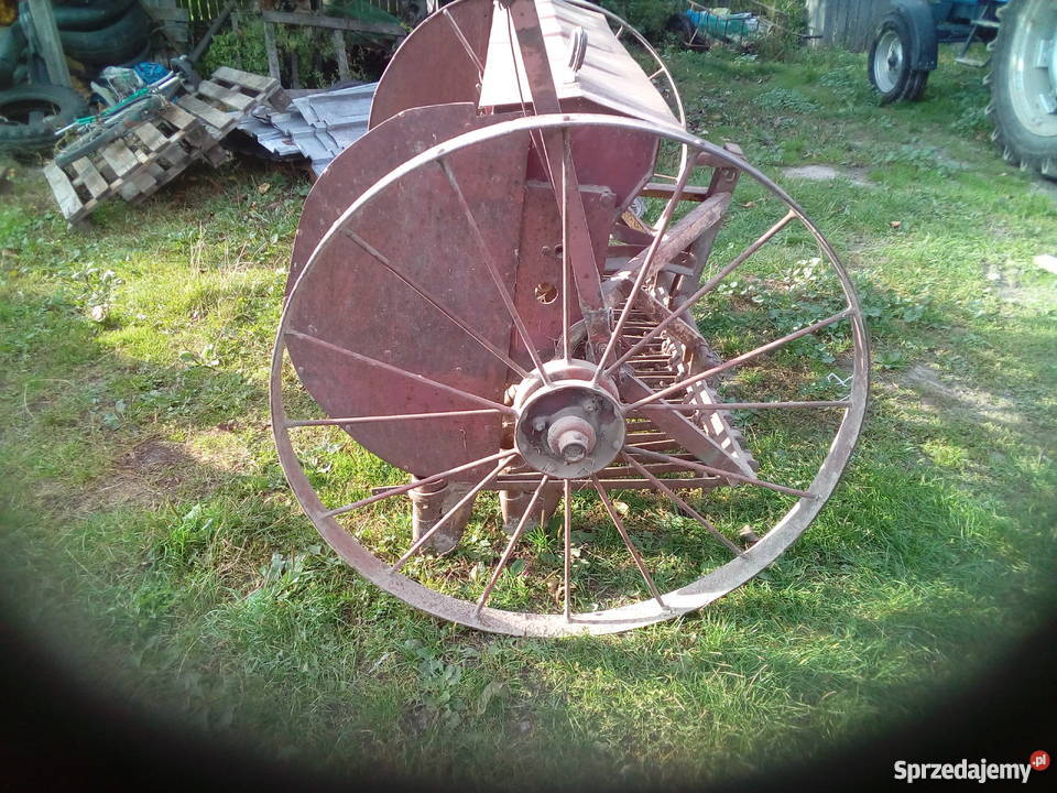 Siewnik zbożowy konny