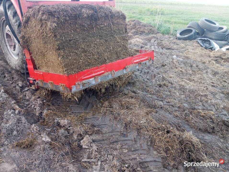 Wycinak kiszonki kukurydzy Ostrów Mazowiecka