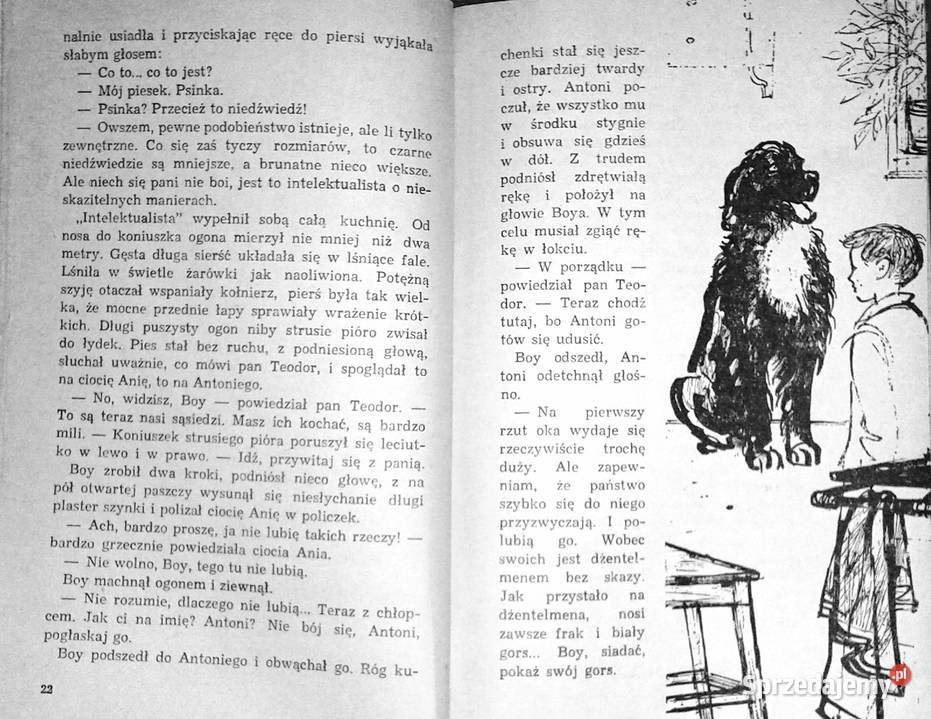 Wyspa strachów Mikołaj Dubow Rok wydania 1974 lubelskie Chełm sprzedam