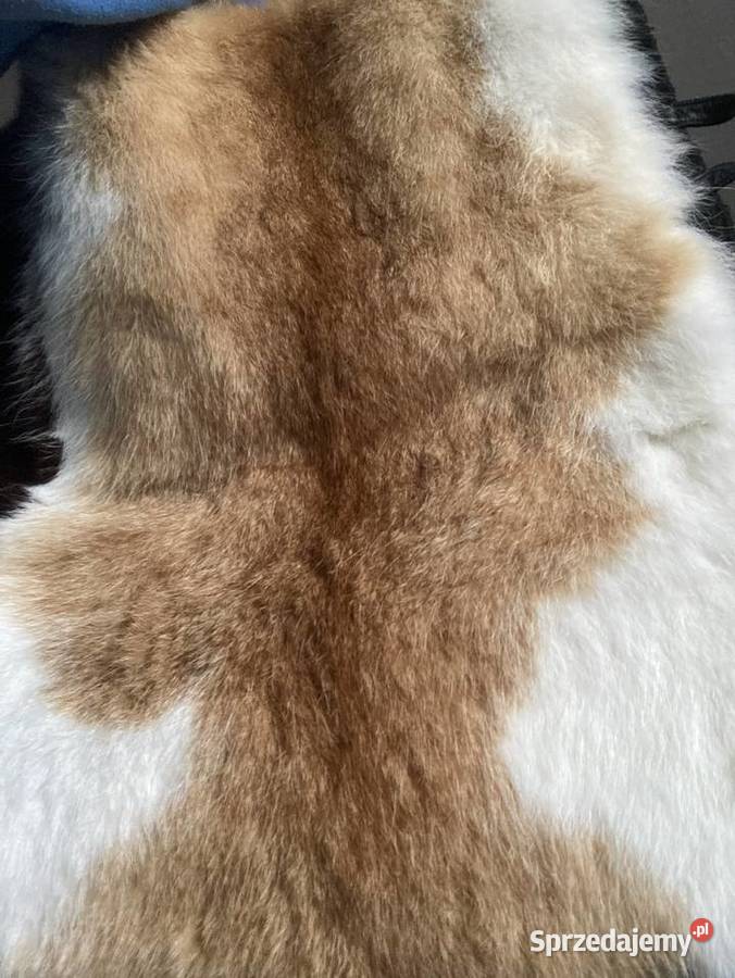 Pas ocieplający z naturalnej skóry i włosia Wolin