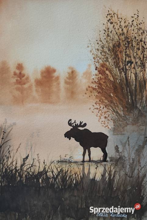 Akwarela Akwarelka Obraz pt Mglisty Majestat Malarstwo Łódź sprzedam