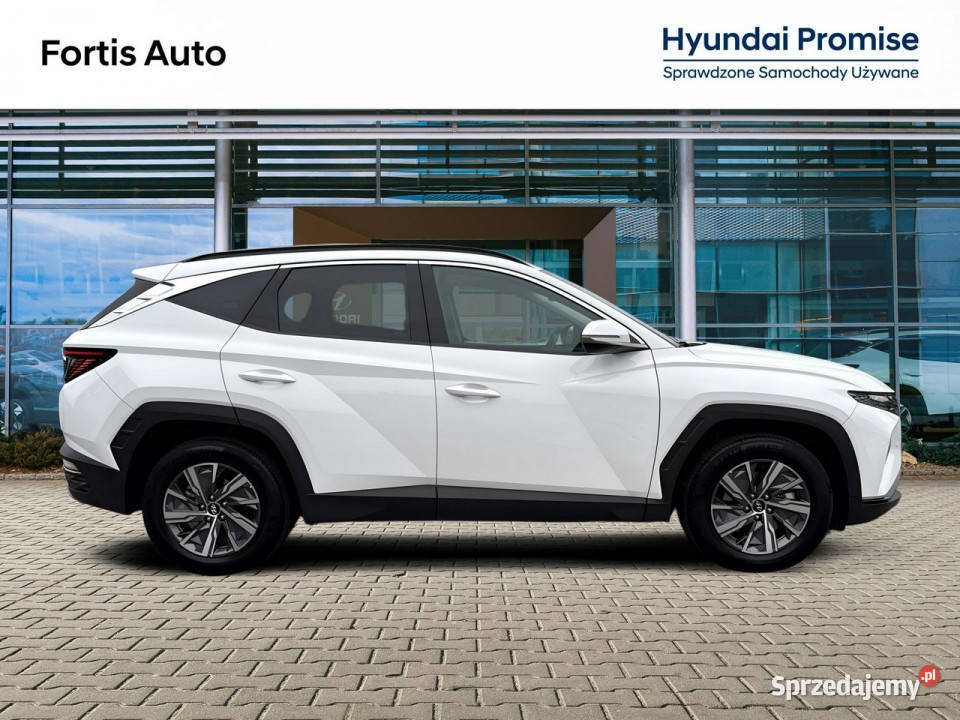 Hyundai Tucson 16 TGDi Hybrid 2WD 230 SMART ABS Bydgoszcz sprzedam