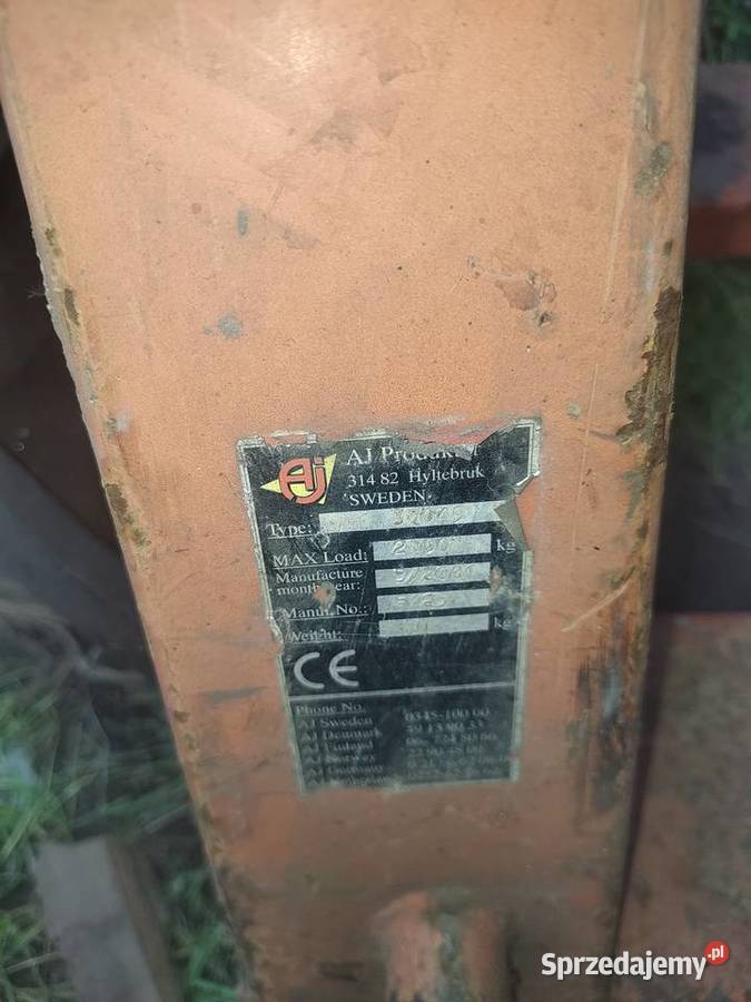 Paleciak wielkopolskie Kalisz