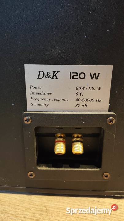 Głośniki DK 120W wielkopolskie