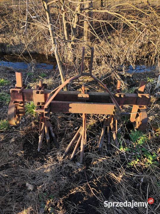 Wyorywacz do buraków lubelskie Kotlice