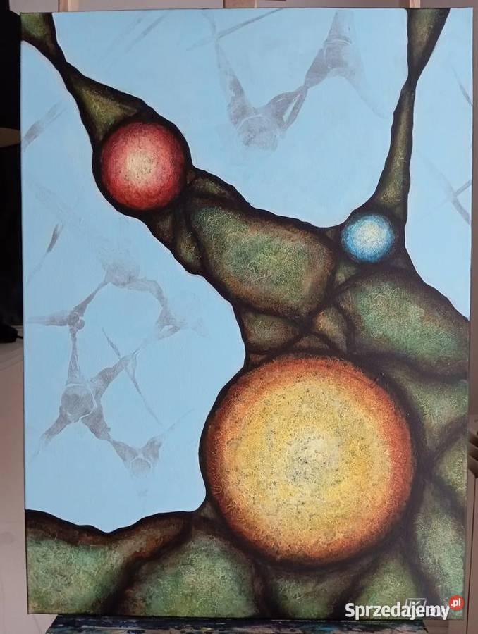 T Kawala obraz akrylowy 55x75 Ostrów Wielkopolski