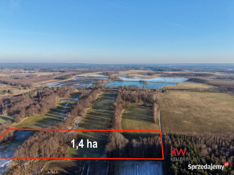 Sprzedam działka 13900m2 Kuźniczysko polna