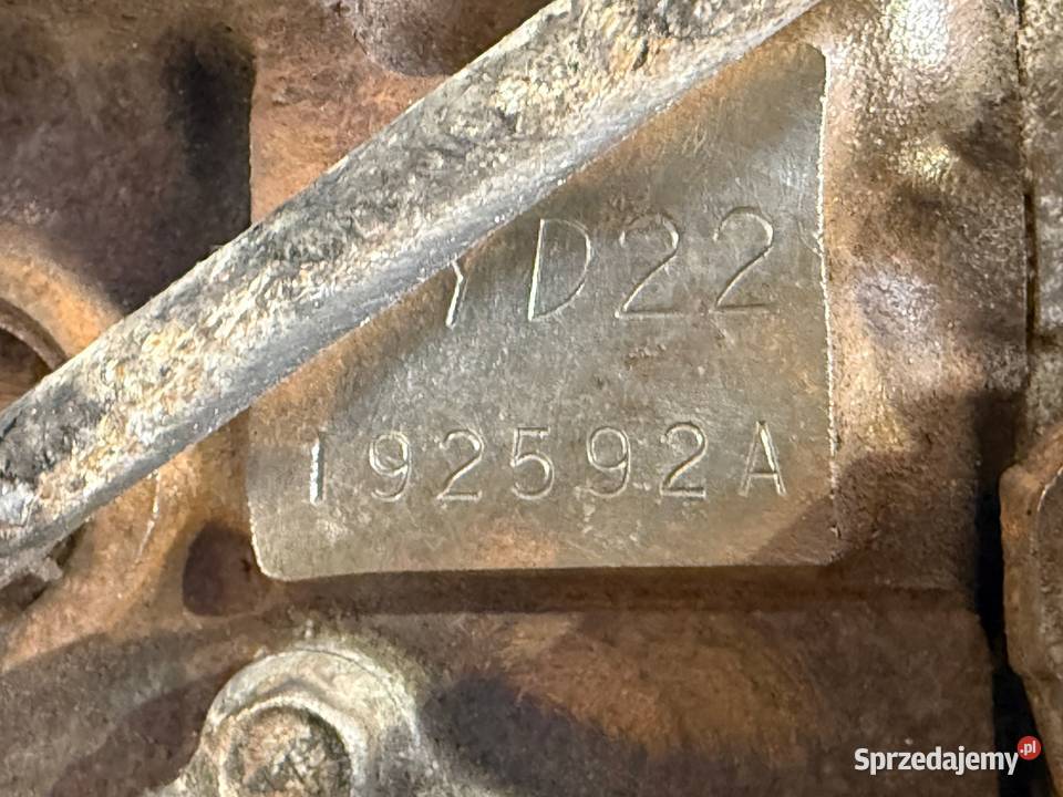 SILNIK Nissan XTrail Primera P12 22 DCI 136 4 Chełm sprzedam