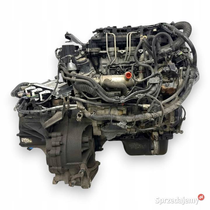 SILNIK G8DD Ford Focus II MK2 C C 16 TDCI 109 Chełm