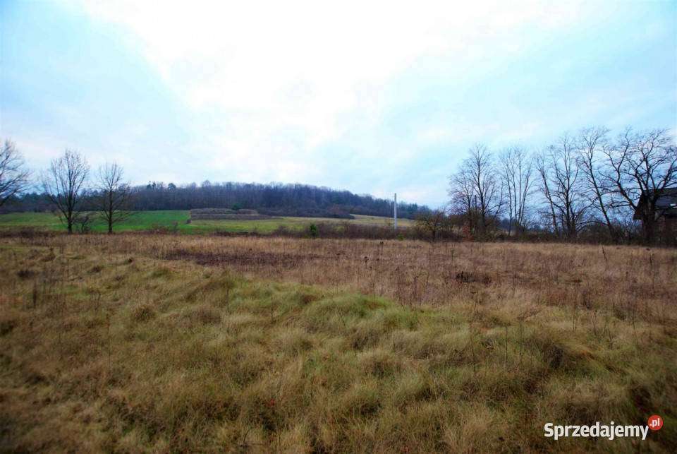 Działka 2273m2 Zajączków 12m