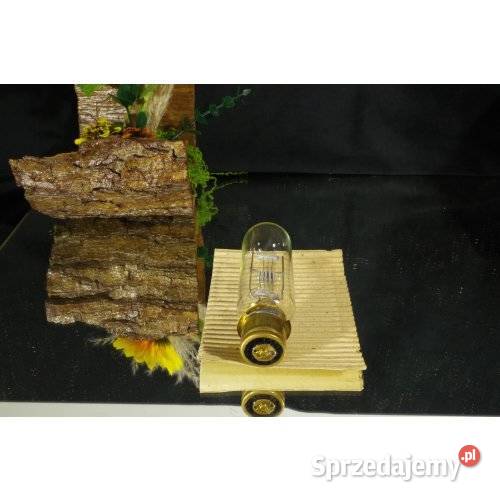 NARVA 66252 110 V 1000 W lampa projekcyjna
