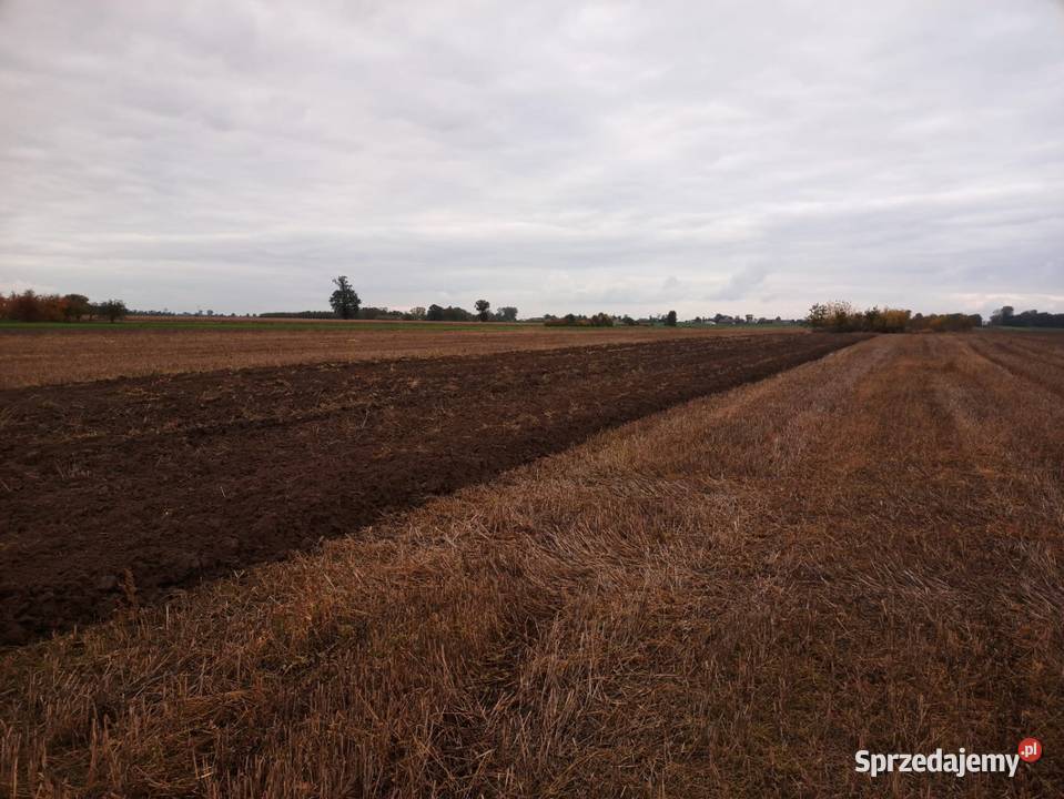 Pług zagonowy Overum C487 4 skibowy 311016 Rolnictwo Sobota