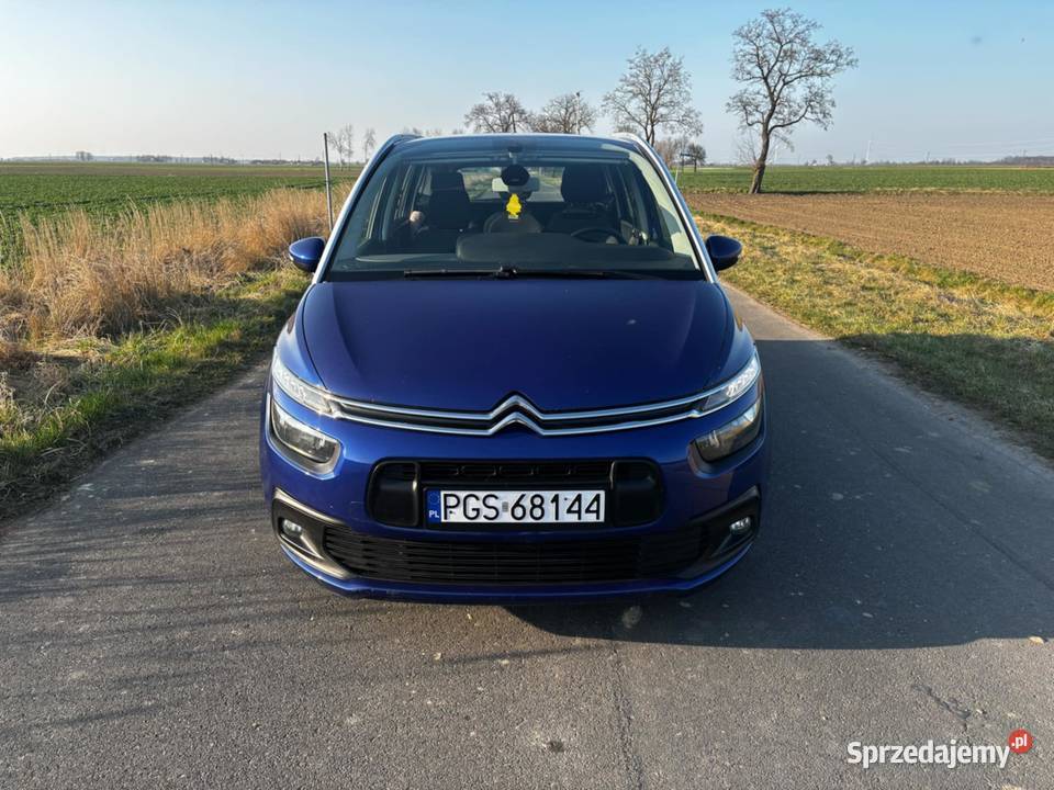 Sprzedam citroen c4 spaceturer nieuszkodzony wielkopolskie Borek Wielkopolski