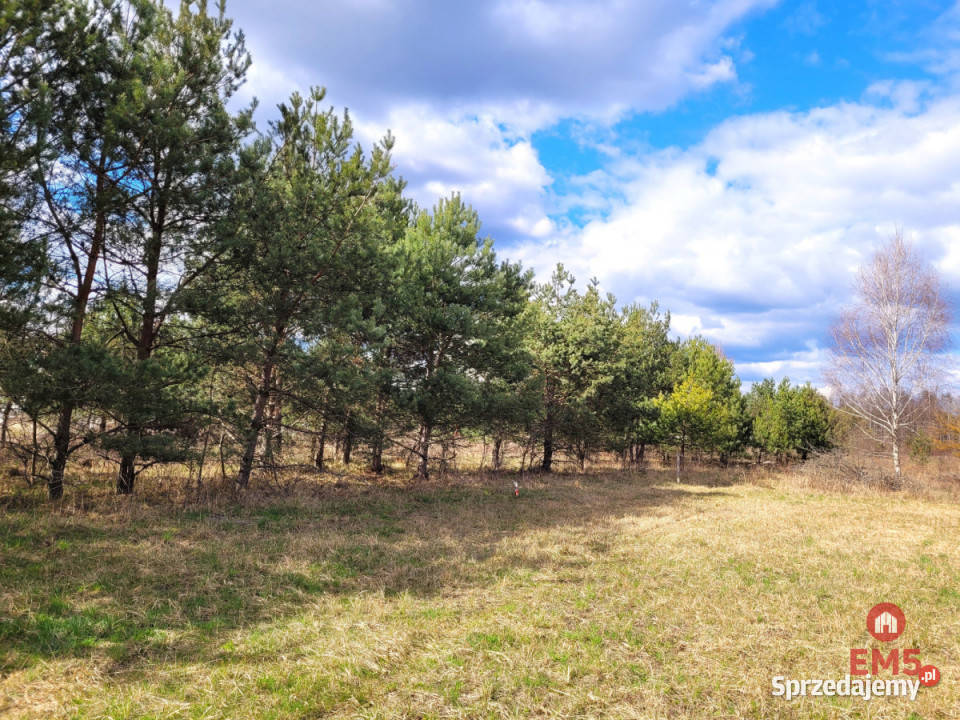 Działka Sowlany 988m2 322zł/m2