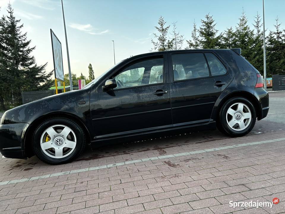 Volkswagen Golf 4 hatchback 4/5 Pruszcz Gdański