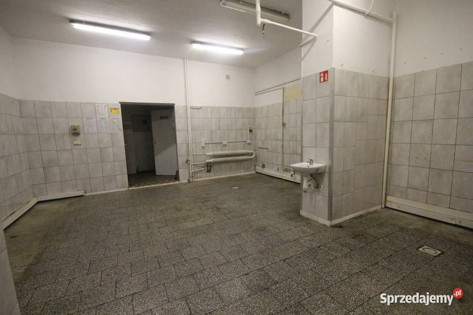 Lokal 132 metry Prusa Wrocław parking