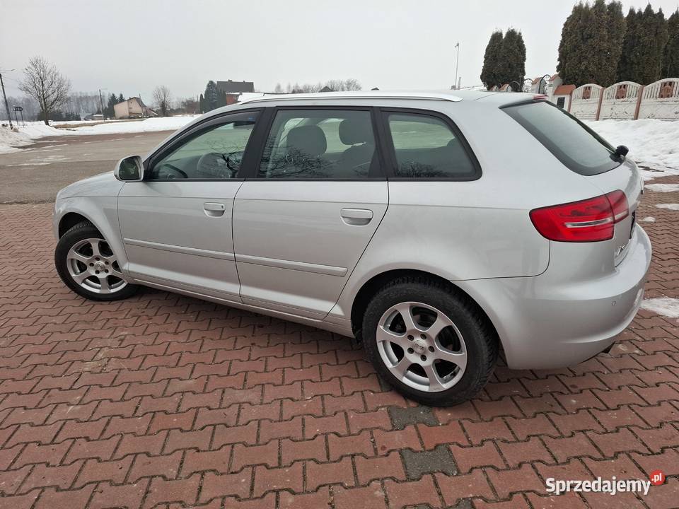 Audi a3 16 MPI 102 SerwisBezwypadekZadbany benzyna Pawłów
