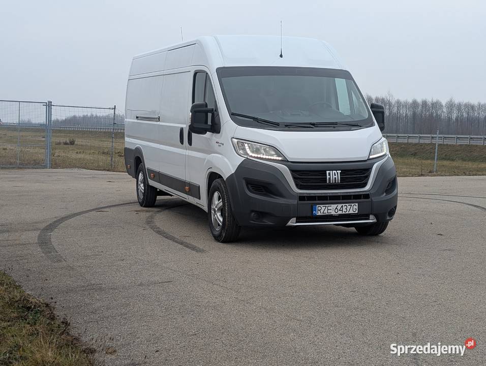 Wynajem busa dostawczaka dostawczy Łąka