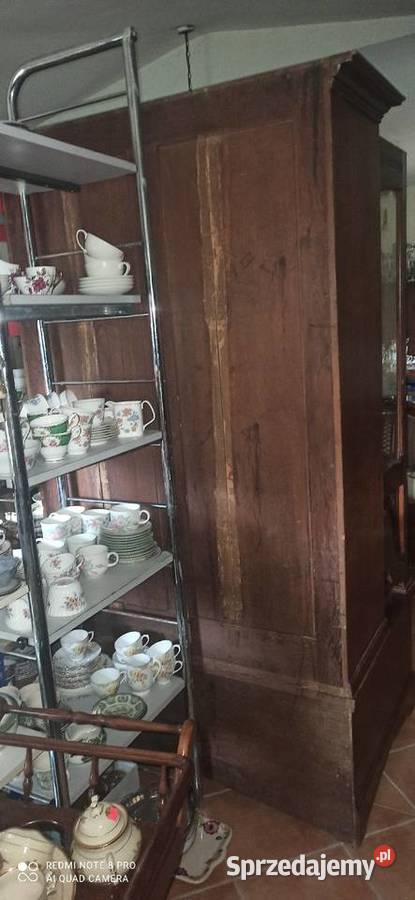 Biblioteka Secesja dąb Gdańsk