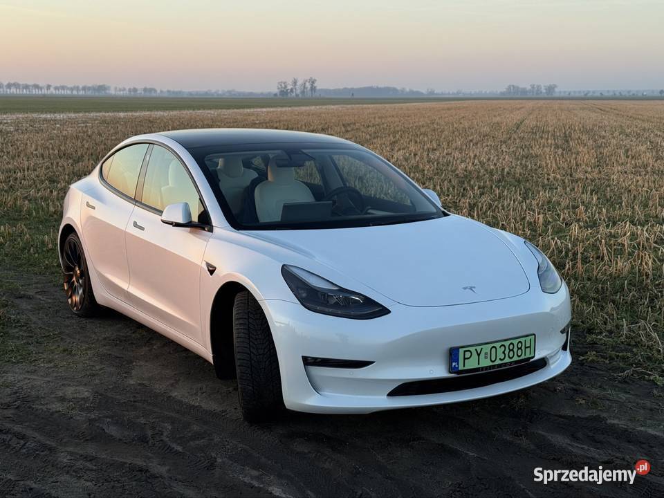 Tesla Model 3 Performance Gwarancja 2029 światła przeciwmgielne Poznań