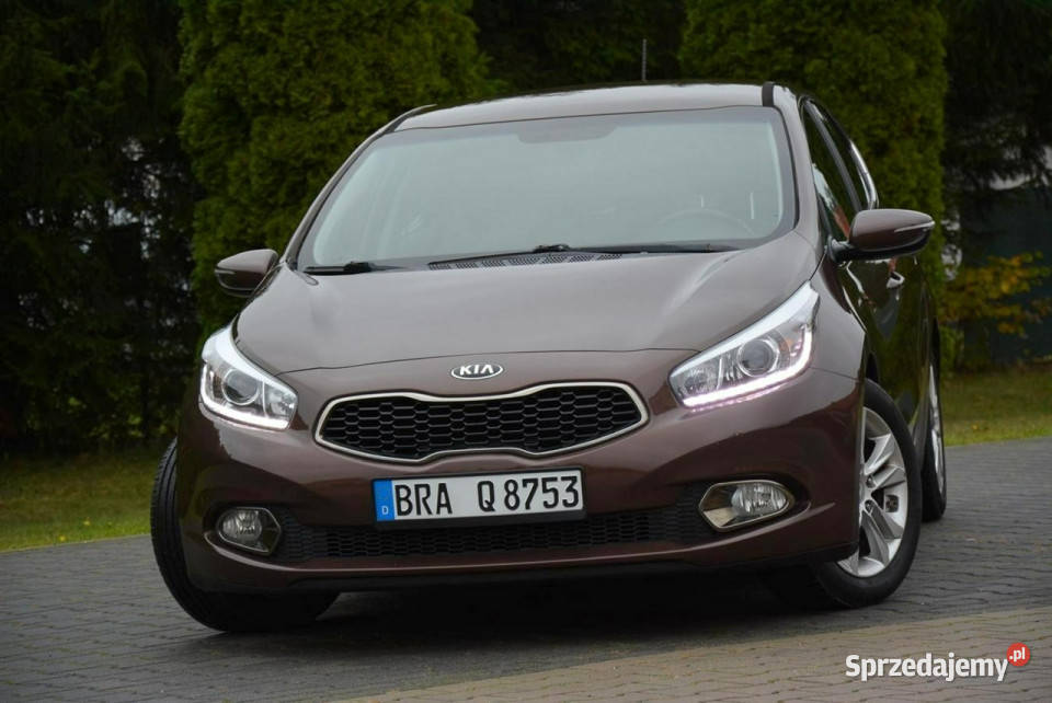 Kia Ceed Platinum Lift Navi Ledy Kamera Kia Ostrów Mazowiecka