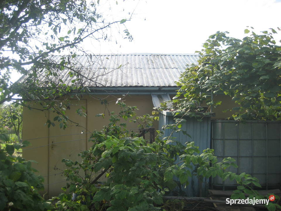 OKAZJA Ogródek działkowy Nysa