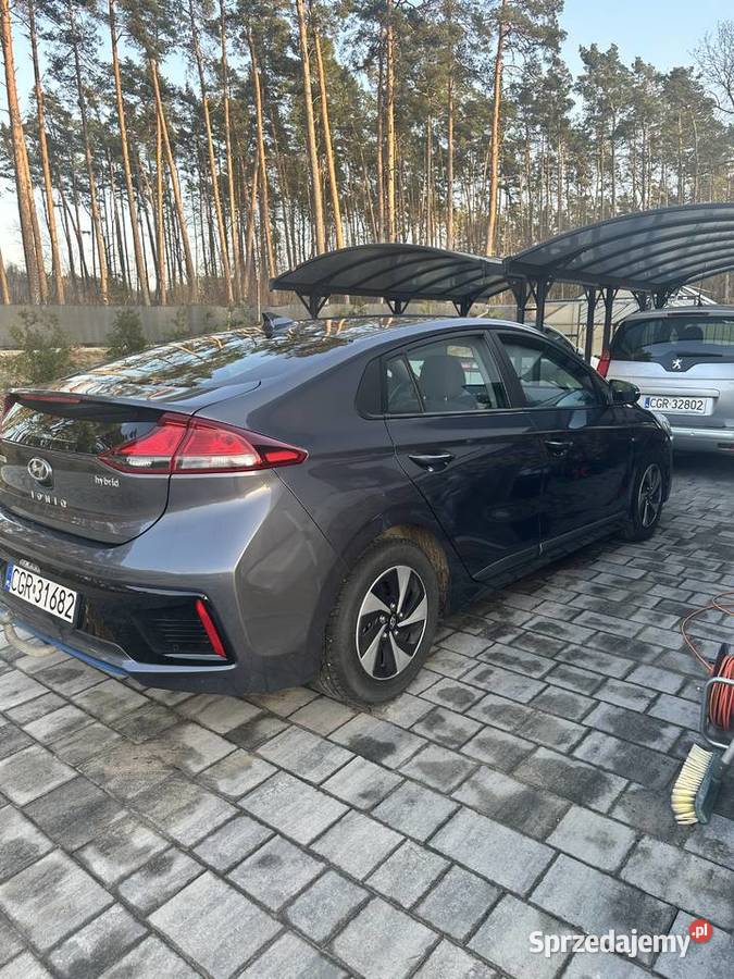HYUNDAI IONIQ hybryda Grudziądz