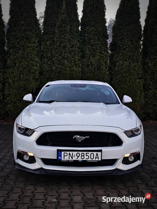 Ford Mustang VI 50 GT LPG POLSKI SALON EUROPA Zwoleń