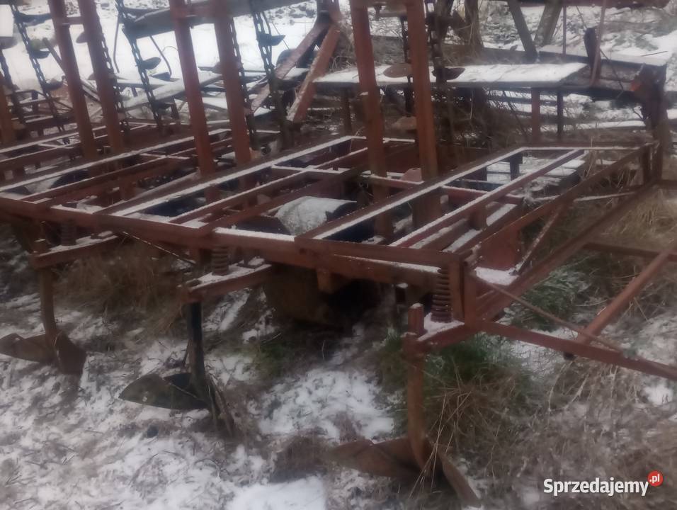 Sadzarka do ziemniaków podkiełkowanych Kostrzyn