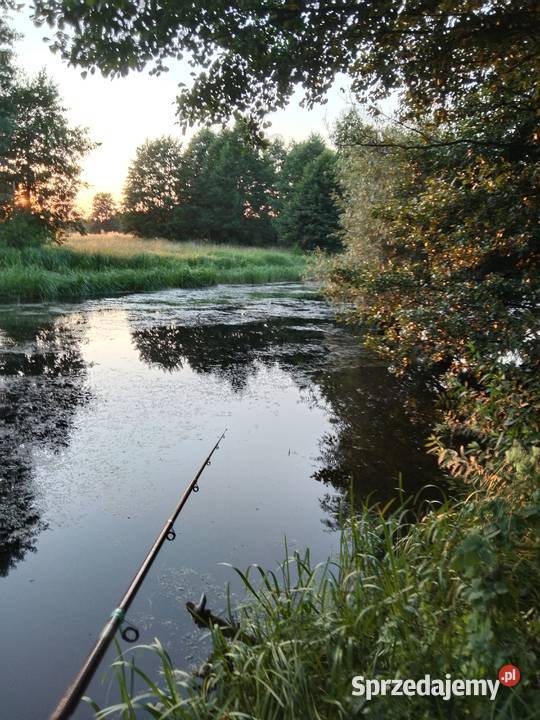 Ziemia rolna Siedlisko