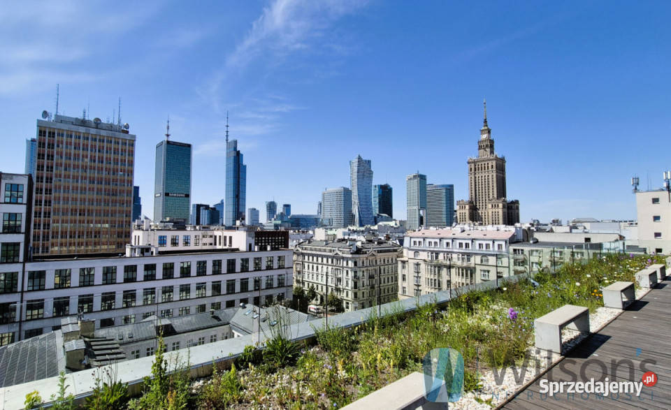 Lokal Warszawa Marszałkowska 100m2