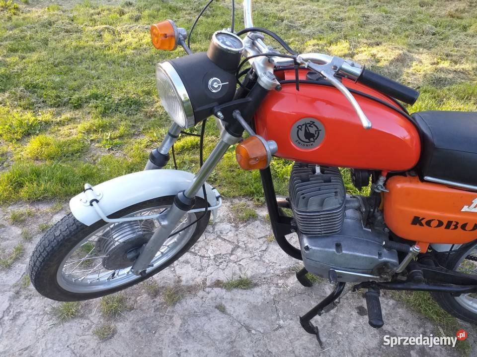 Wsk175 kobuz Kazimierza Wielka