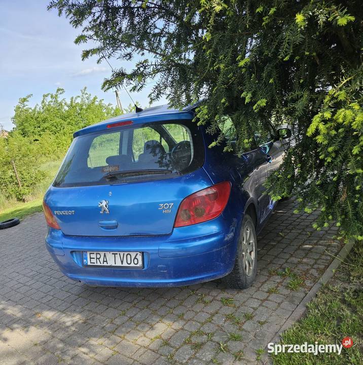 Sprzedam peugeot 307 20hdi 2/3 Kobiele Wielkie