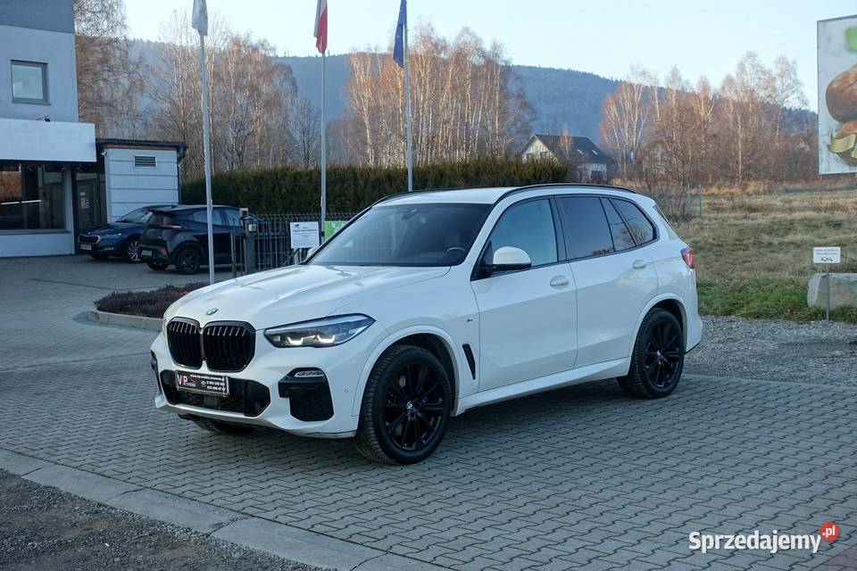 BMW X5 25d 231 xDrive MPakiet Salon 1 właściciel śląskie Buczkowice