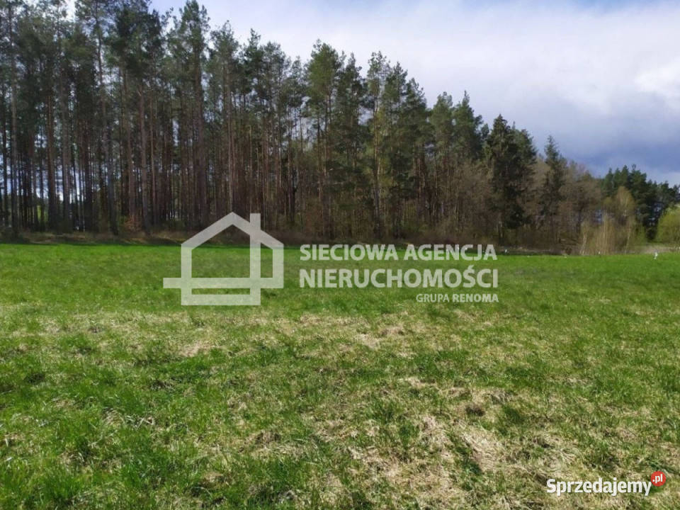 sprzedaży działki 2400 metrów Jałowiec Sprzedaż