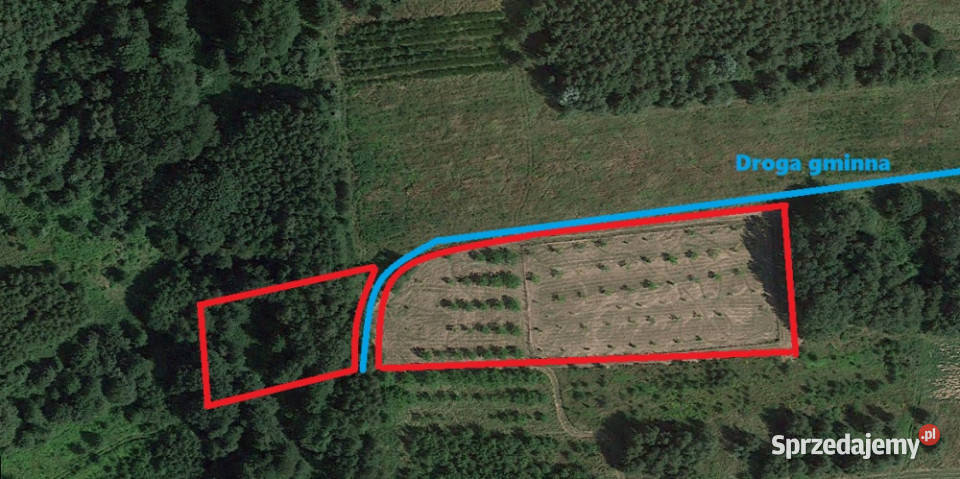 Wyjątkowa działka w sercu natury Albigowa 77 7700m2