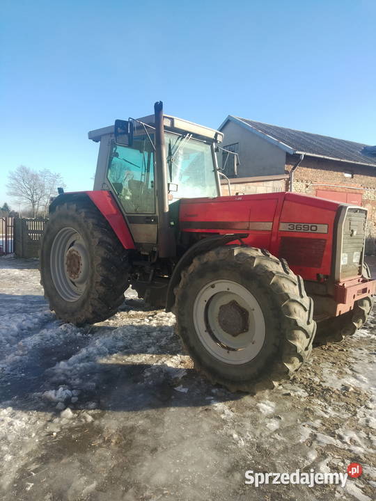 Massey Ferguson 3690 łódzkie Grabów