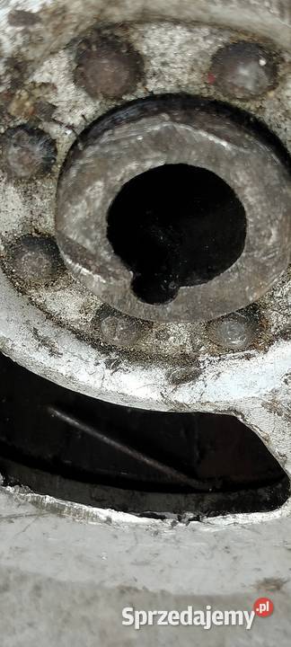 Panonia Magneto Koło zamachowe Czaszyn sprzedam