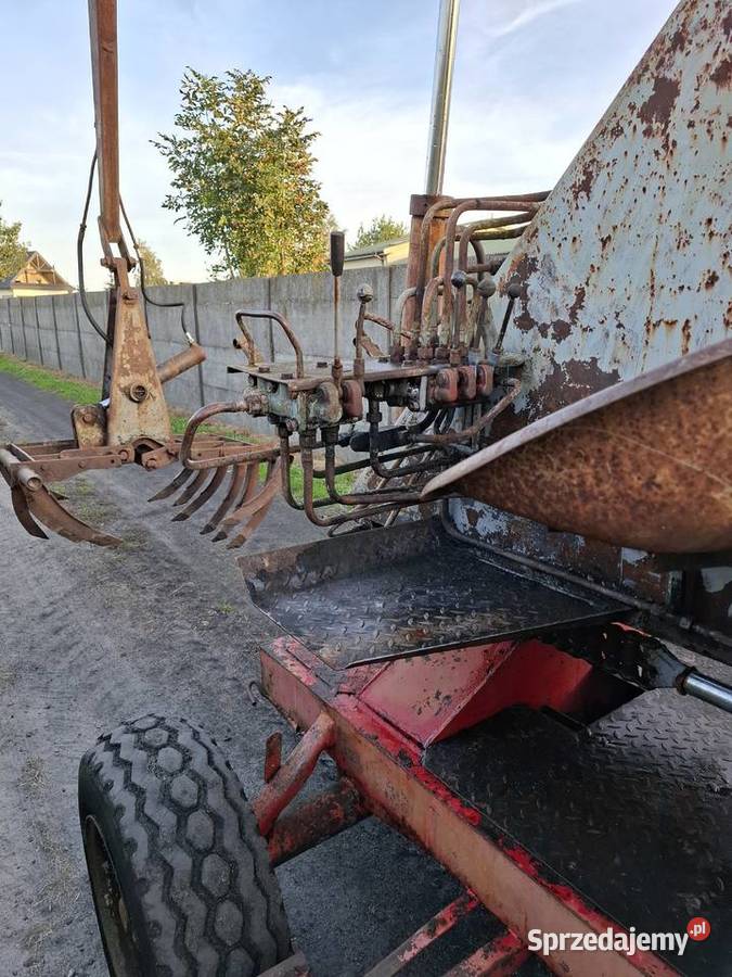 Sprzedam cyklop polski na chodzie mazowieckie Żuromin