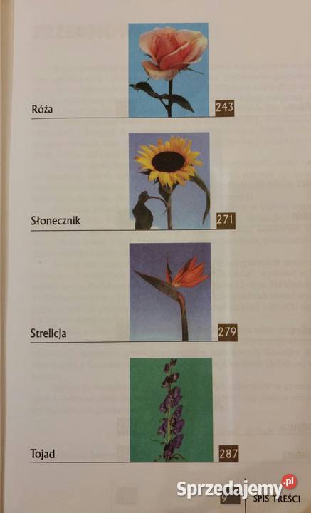 Kwiaty cięte uprawiane pod osłonami Marek Jerzy