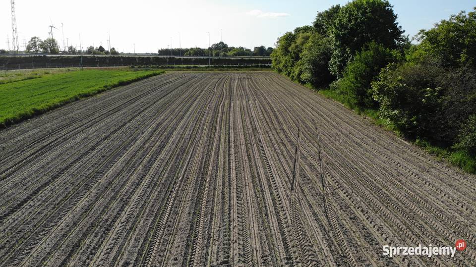 Inwestycyjna działka w Iłży Sprzedaż mazowieckie Iłża