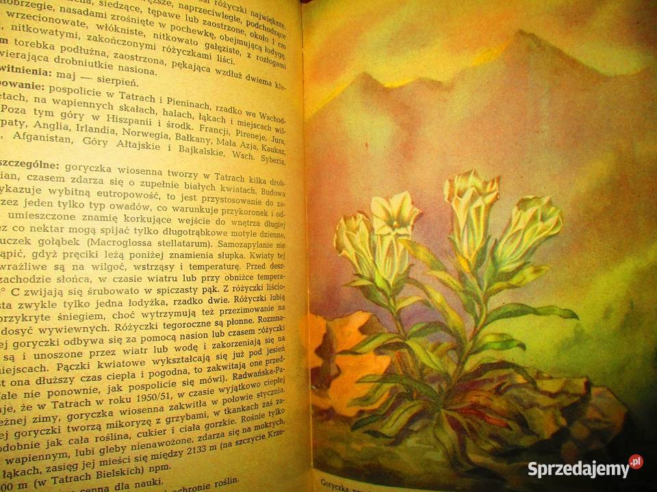 Ochrona roślin w PolskceLeonidas Świejkowski Łódź