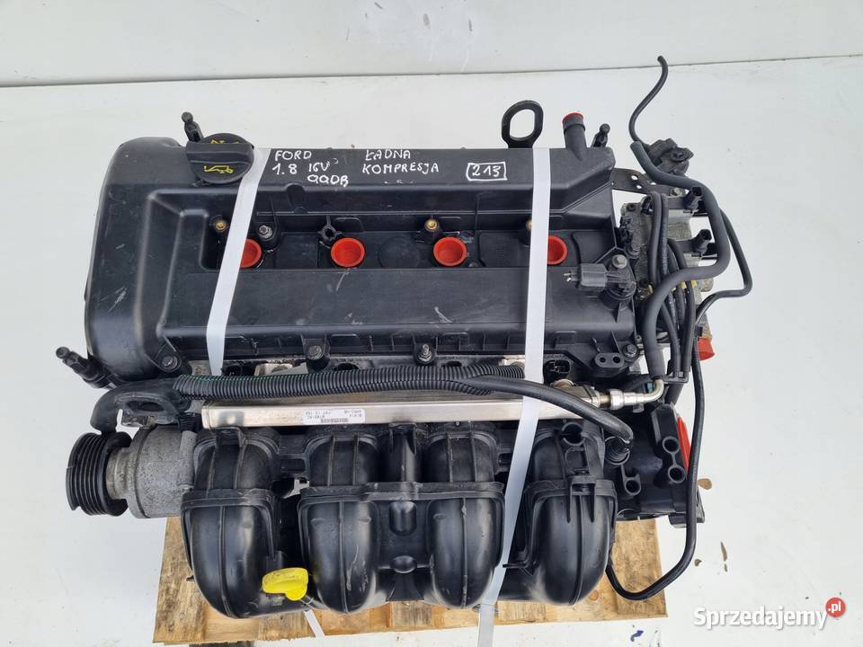SILNIK KOMPLET Ford C C 18 16V 125 kompresja ok Rudka