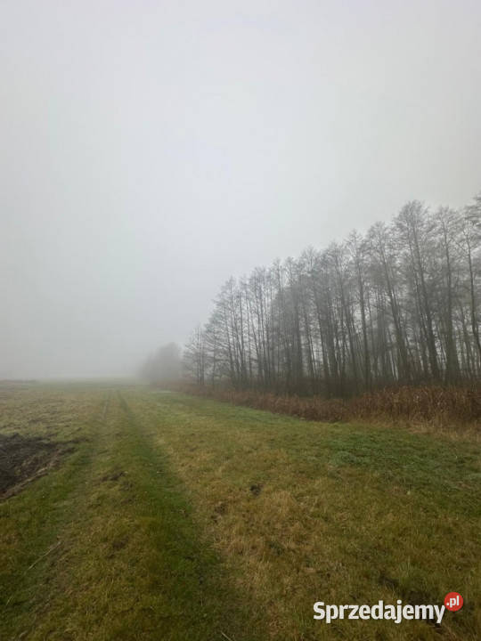 Działka na sprzedaż Bystrzanów Królewska 16500m2