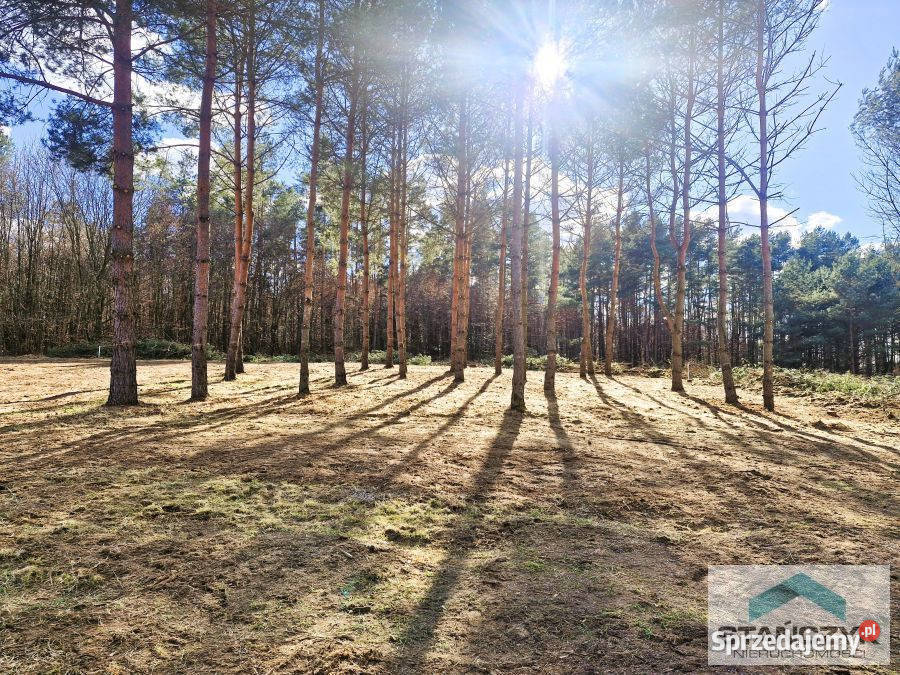 Działka Golczewo 1350m2 sprzedam