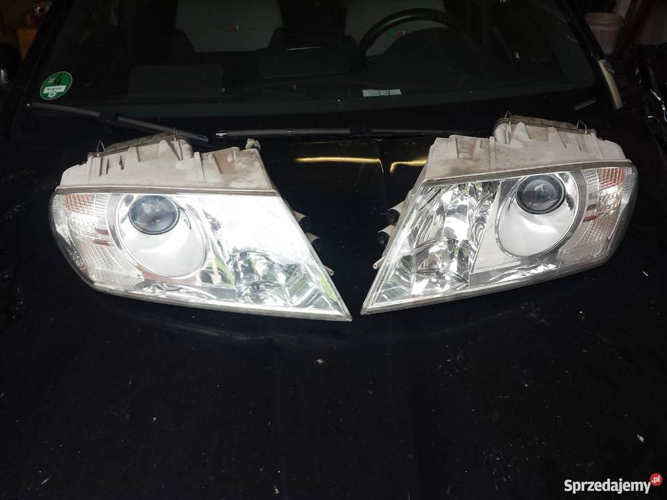 Skoda Octavia 2 Xenon Lampa Prawa 1Z1941016B
