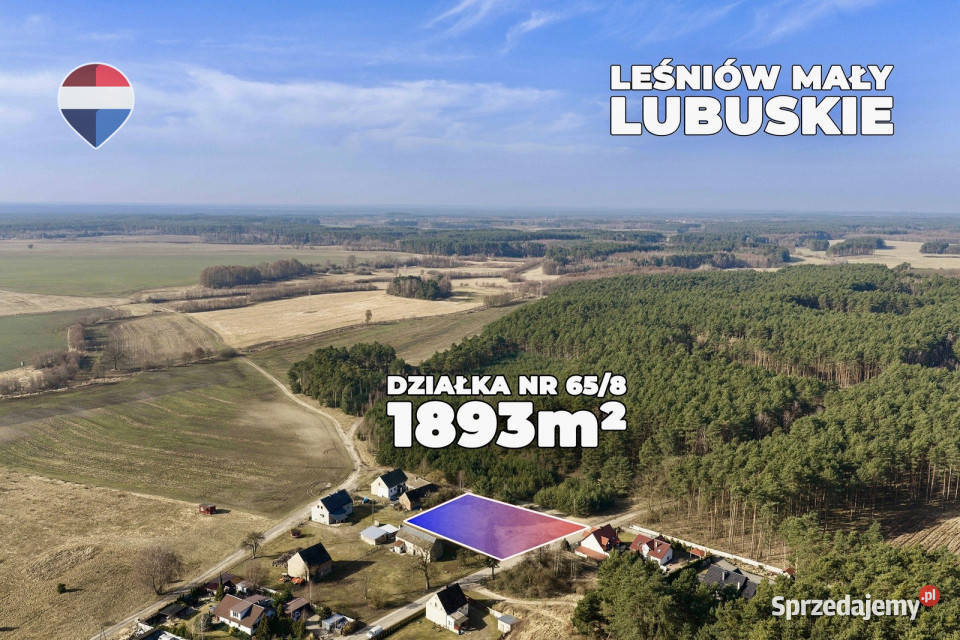 Działka lesie z warunkami zabudowy Sprzedaż Leśniów Mały
