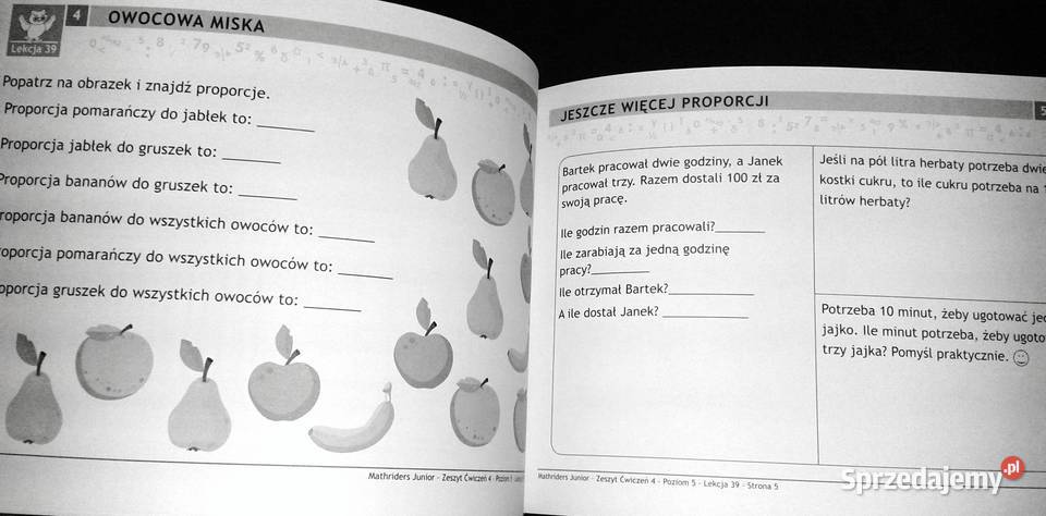 MathRider Poziom 5 Zeszyt zadań domowych 4 Anita Chełm