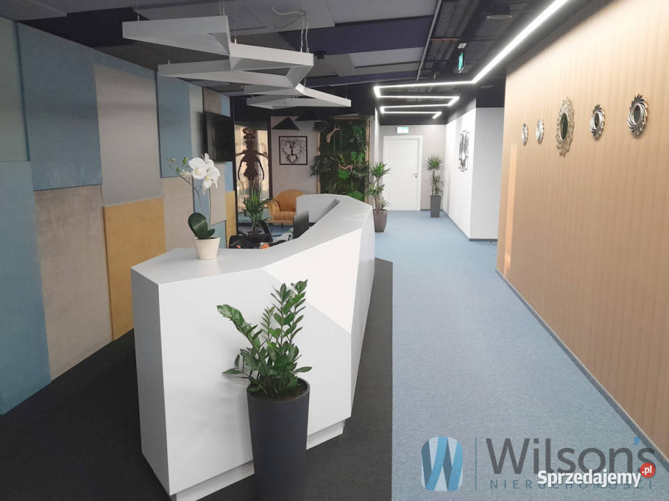 wynajmu lokalu Warszawa 250m2 sprzedam