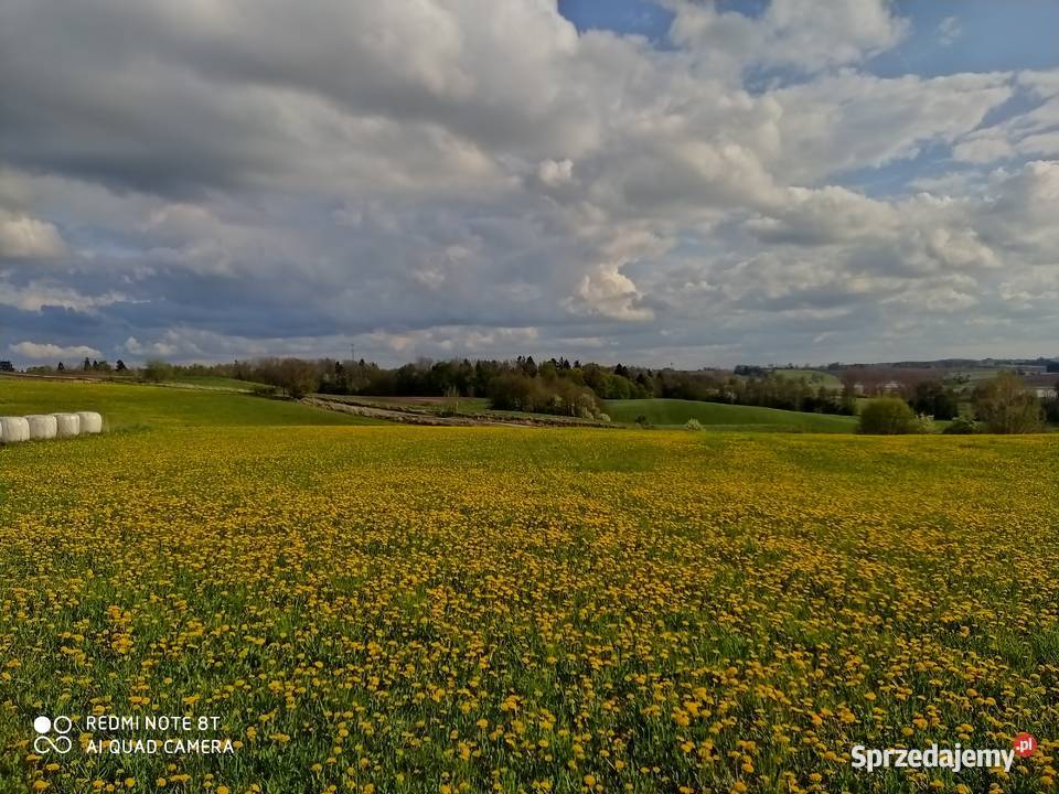 sprzedam dom w Bożym Okazyjna warmińsko-mazurskie Ruska Wieś